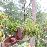 Landscape - Large Hanging Planter