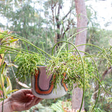 Landscape - Large Hanging Planter